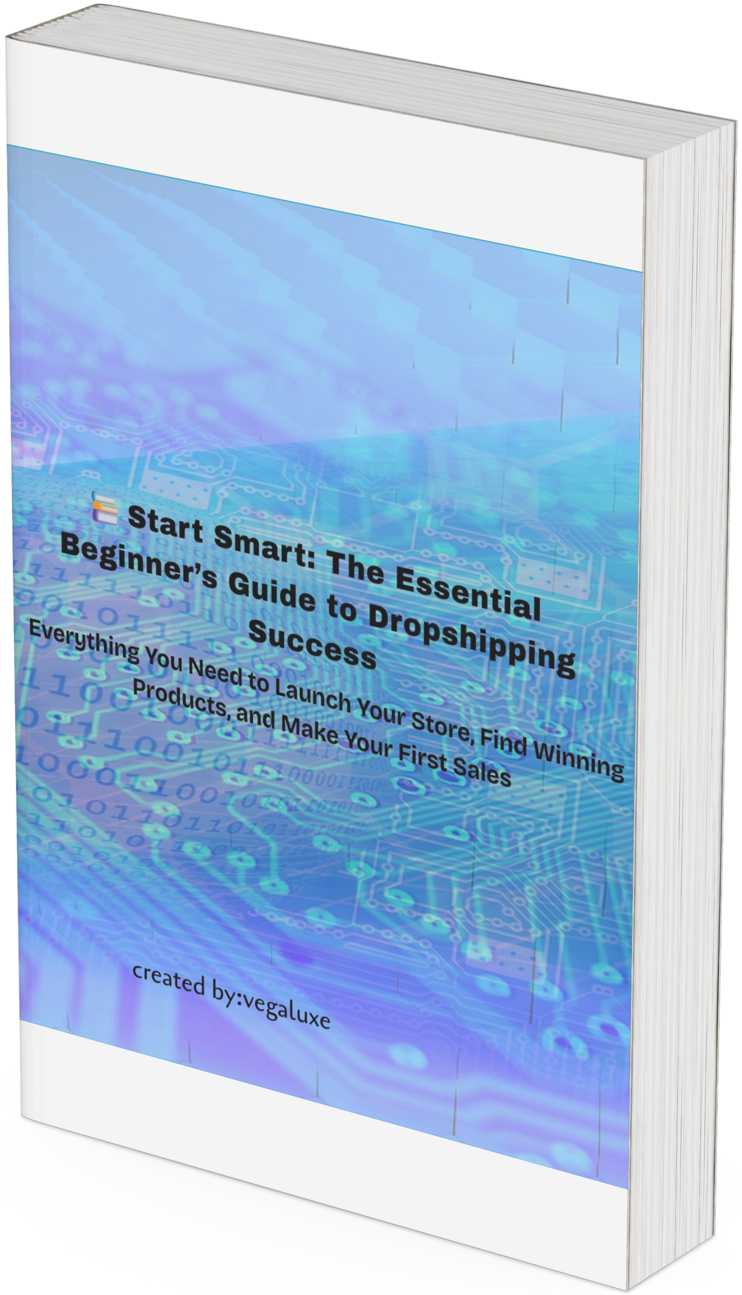 Start Smart: The Essential Beginner's Guide to Dropshipping Success